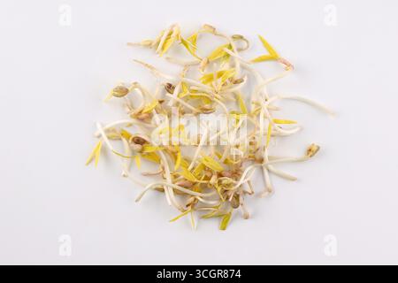Close-up of fresh mung bean sprouts (Vigna radiata) scattered on a clean white background Stock Photo