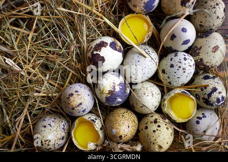 Fresh quail eggs in hay on rustic wooden background. Natural organic farm product, whole and cracked eggs with yolk. Perfect for healthy food, farm Stock Photo