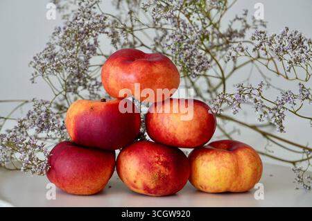 Fresh ripe nectarines on a white table with dried flowers. Stock Photo