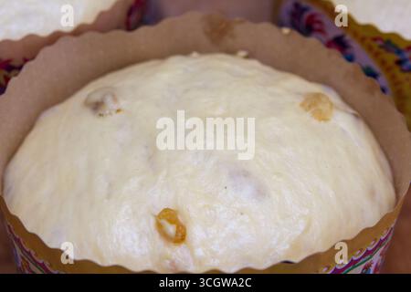 the dough lies in a round form for baking the Easter cake Stock Photo