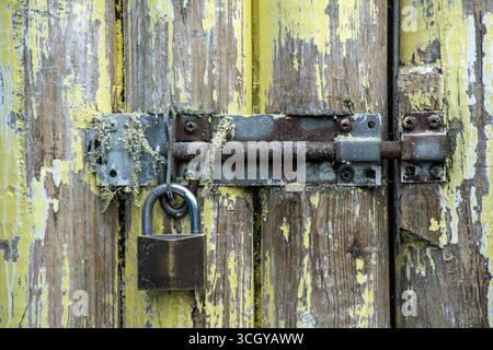A  rusty metal bolt with padlock on an old wooden door with flaking yellow paint Stock Photo