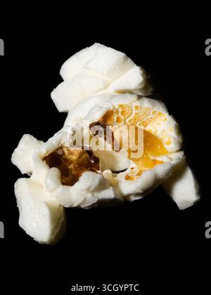 macro photography of popcorn on a black background Stock Photo