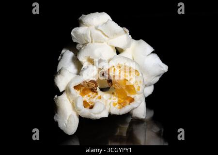 macro photography of popcorn on a black background Stock Photo