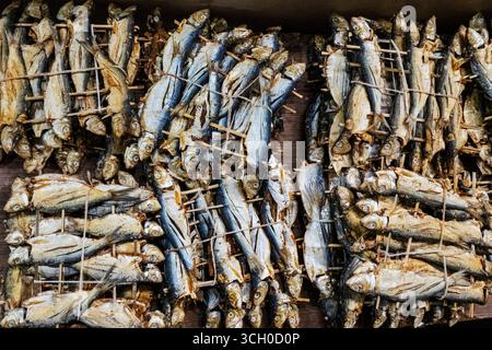 A top-down flat lay of traditionally dried, salted, and smoked fish tied with bamboo skewers, creating a textured pattern at an outdoor local food mar Stock Photo