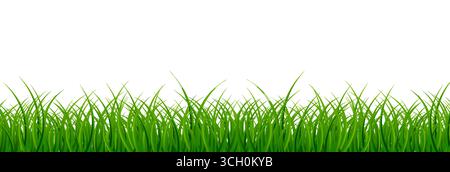 Green Grass Isolated. Vector Illustration on white background Stock Vector