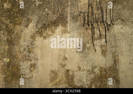 Aged concrete wall with mold and damp stains forming a grungy textured surface, photographed indoors in natural light. Stock Photo