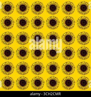 Seamless Sunflower Pattern on Yellow Background Stock Vector