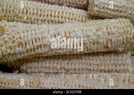the corn cobs after the kernels have been removed, the edible seeds of the maize plant, typically yellow or white, a source of dietary fiber that aids Stock Photo