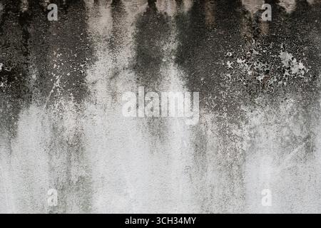 A concrete wall blackened by mold and algae Stock Photo