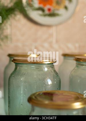 Bunch of Dill, Glass Jars and Caps Ready for Homemade Preserves in a Cozy Kitchen with Petrykivka Floral Decor Stock Photo