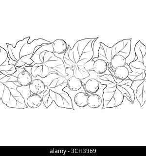 Kukui Outline Horizontal Seamless Pattern. Stock Vector