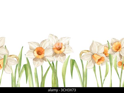 Seamless border with daffodils, hand drawn banner spring flowers theme Stock Photo