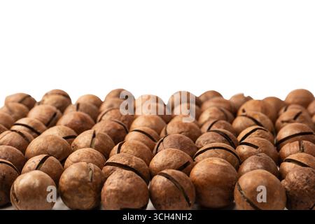 Macadamia nuts in a shell isolated on a white background. Top view. Stock Photo