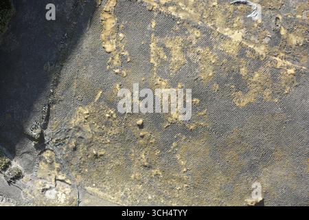 An unusual, worn, antique background is made from pieces of thick fabric with cement, painted with old yellow paint. Stock Photo