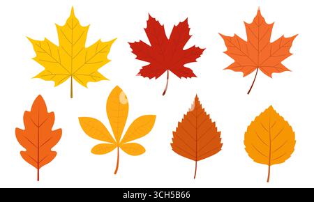 Set of autumn leaves from different trees, oak, maple, chestnut. Simple, yellow, red, orange fall leaf set for pattern, banner, sticker, Hello autumn Stock Vector