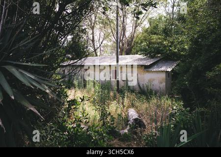 An old, weathered building sits nestled among trees and overgrown vegetation. The structure appears abandoned, with peeling paint and a rusty roof, ad Stock Photo