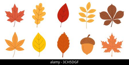 Set of autumn leaves from different trees, oak, maple, chestnut. Simple, yellow, red, orange fall leaf set for pattern, banner, sticker, Hello autumn Stock Vector