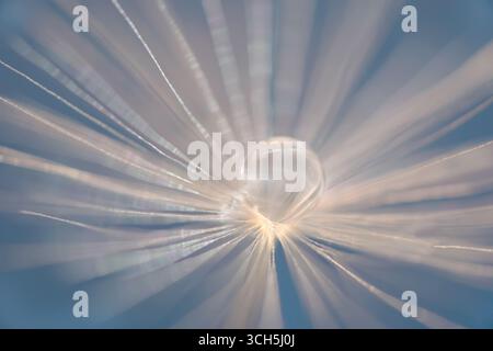 Close-up image of a water droplet creating radial light reflections against a soft blue background, showcasing delicate textures and patterns. Stock Photo