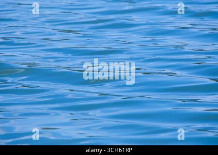 The image shows a calm blue body of water with small smooth waves. Stock Photo