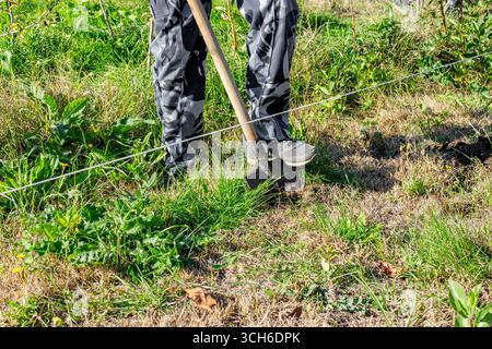 A man digs a hole with a shovel to plant a tree, using a rope to mark the hole in the garden. Stock Photo