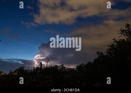 Evening lightning storm in the Arizona desert Stock Photo