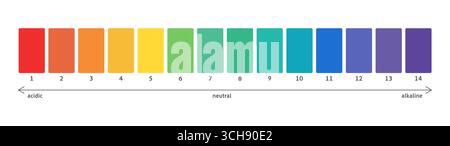 Ph scale acid value indicator. Neutral balance test, spectrum. Alkaline, neutral and alkali graph. Basic info. Vector illustration Stock Vector