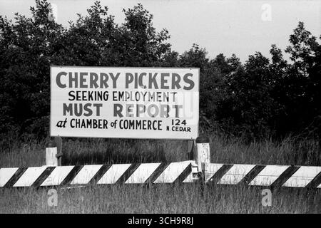Cherry Pickers seeking employment - A 1940 sign on the road going into Sturgeon Bay, Wisconsin directing migrant cherry pickers to report to the Chamber of Commerce - John Vachon street photo Stock Photo