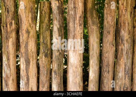 Horizontal wooden planks with visible grain and weathered marks, ideal for rustic design or natural backgrounds Stock Photo