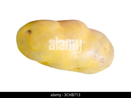 A bulb of potato is isolated on white background with clipping path. Stock Photo