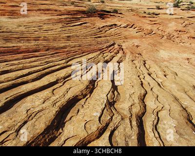 Natural patterns forming in the Navajo Sandstone of Zion National Park in Utah, USA, due to the weathering of the large-scale crossbedding. Stock Photo