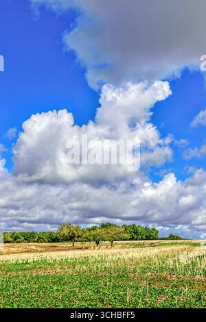 Cumulus and Cumulonimbus rain clouds forming over central France farmland landscape. Stock Photo