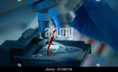 A researcher examines a blood sample under a microscope in a laboratory setting, focusing on detailed observation. Stock Photo