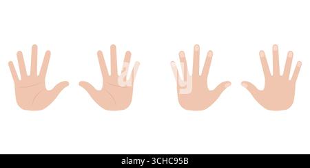 Hand and Palm. Back and Front Hand. Vector Illustration Isolated on White Background. Stock Vector