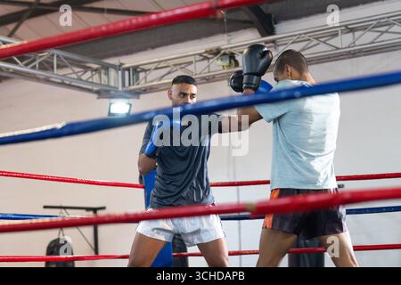 Two men sparring inside boxing ring at gym in blue gloves and holding focus mitts Stock Photo