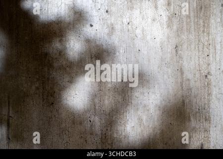 Abstract image of a grungy and aged cement surface. The texture features cracks and a shadow overlay. Copy space. Textured background Stock Photo