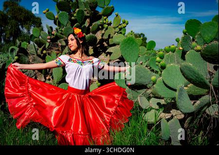 Mexican heritage represented by folkloric dancer in red skirt Stock Photo