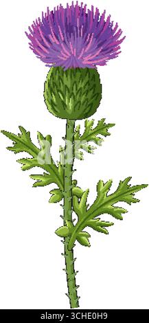 Realistic vector illustration of a Scottish thistle with spiky green leaves and vibrant purple flower. Stock Vector