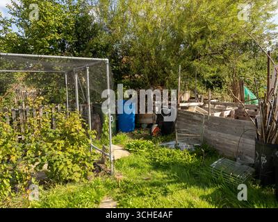 Compost bins, fruit cage and garden tools in an overgrown UK allotment Stock Photo