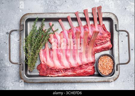 Raw mutton meat for chops steaks, uncooked rack of lamb on steel tray with herbs. grey background. top view. Stock Photo