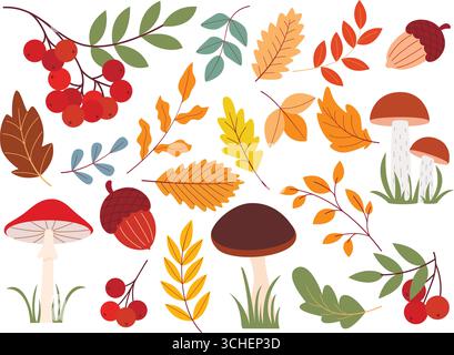 Autumn set of natural forest elements. Mushrooms, rowan berries, acorns, tree branches and leaves clip art collection. Fall season illustrations Stock Vector