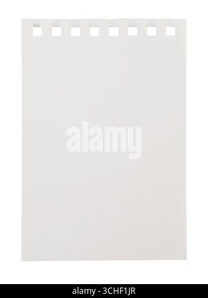 Torn-out empty white notebook page, visible binder holes on top edge, isolated on transparent background. Empty note paper mockup. Writing, notes Stock Photo