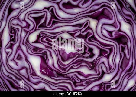 Background of the blue cabbage in the cut, macro photography. Close up, top view. Texture raw purple cabbage Stock Photo