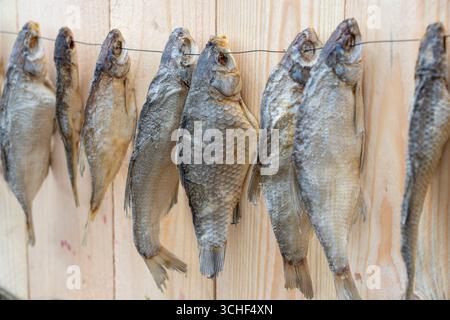 Dried salted fish hanging on a rope against wooden wall, close up Stock Photo