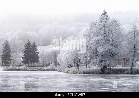 Gentle sunlight filters through the fog over a white frozen pond in a magical holiday landscape Stock Photo