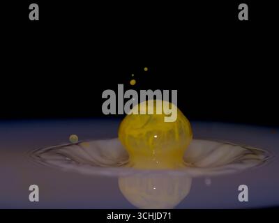 Yellow liquid droplet rebounds from a pool, forming a smooth dome and secondary beads against a black background, captured with macro high-speed. Stock Photo