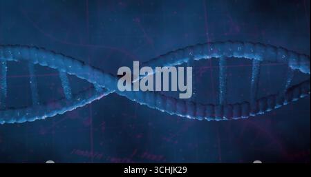 Floating 3D DNA helix model twisting against blue digital grid backdrop, with base-pair connectors Stock Photo