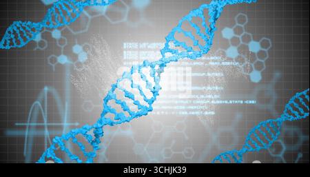 Twisting blue DNA helix in virtual lab, with hexagonal overlays, glowing code and waveform line Stock Photo