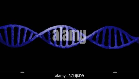 Displaying 3D DNA double helix model twisting horizontally on solid black backdrop, gradient blue Stock Photo