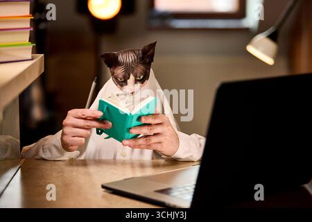 Canadian Sphynx cat in a home office scene holding a green notebook with a pencil, sitting near a laptop. Concept fits themes of back to school, study Stock Photo