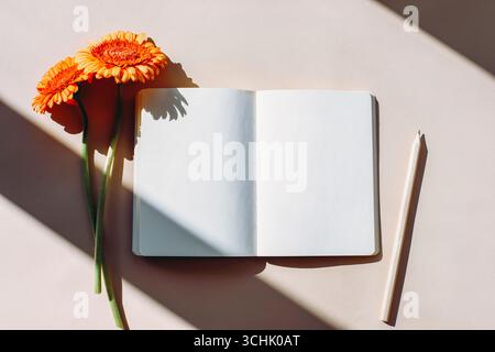 Open blank notebook with pencil and orange gerbera flowers on pastel surface in sunlight, creative workspace concept. Top view, flat lay, mockup. Stock Photo
